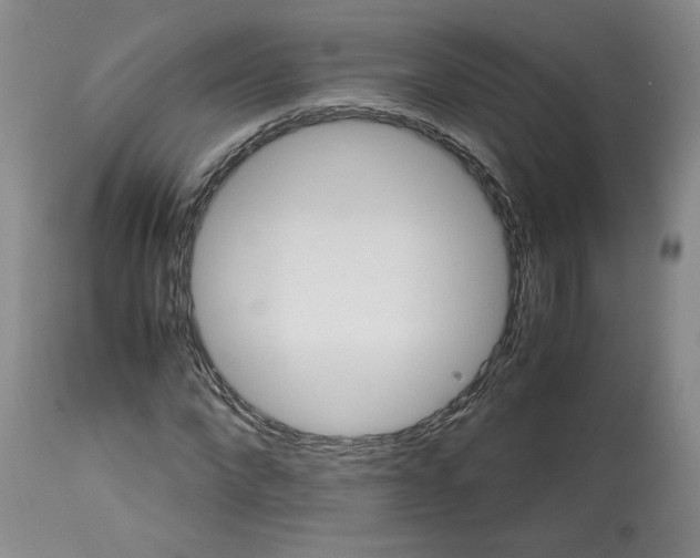 X0000113150872200910021500