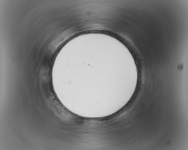 X0000113150873200910021500