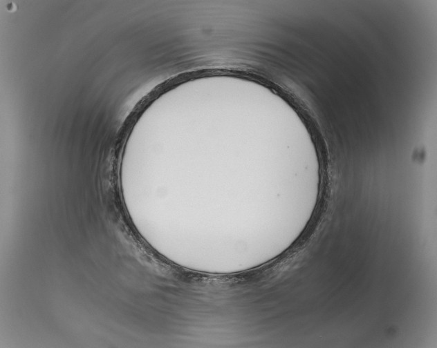 X0000113150875200910021500