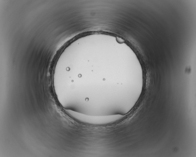 X0000113150876200910021500