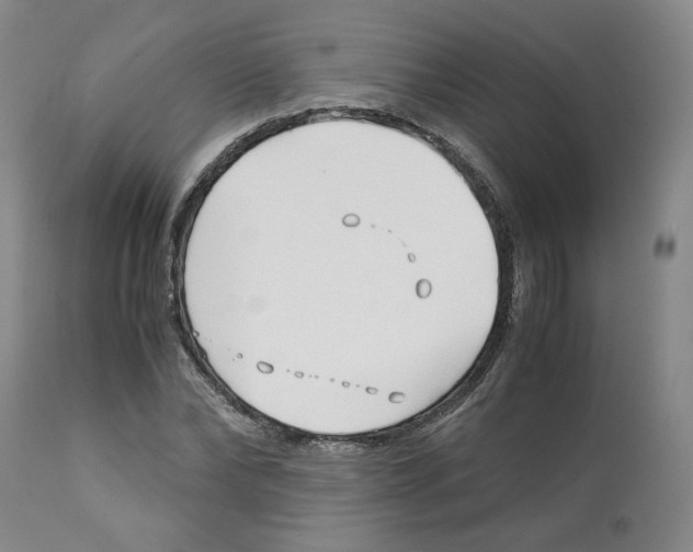 X0000113150878200910021500