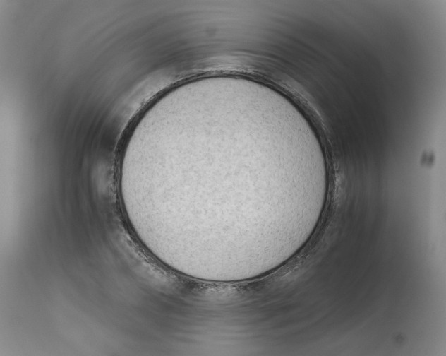 X0000113150882200910021500