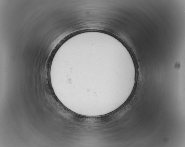 X0000113150883200910021500