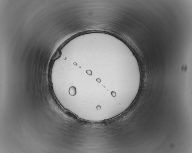 X0000113150884200910021500