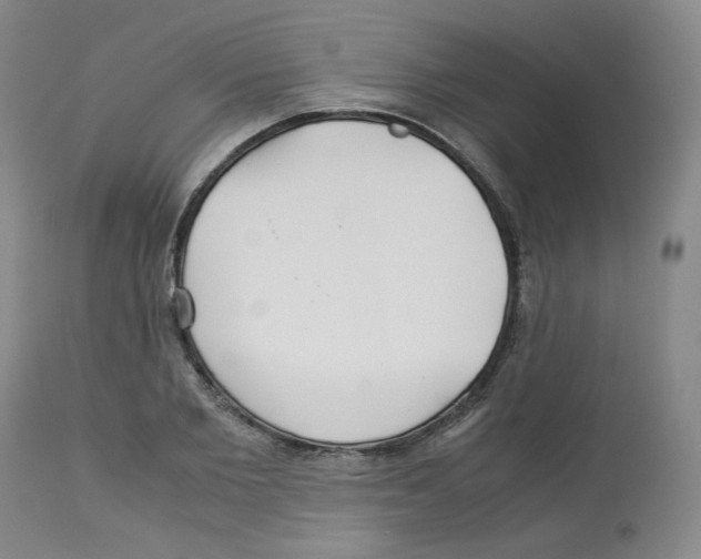 X0000113150885200910021500