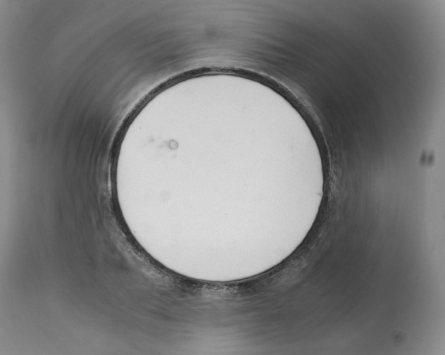 X0000113150887200910021500