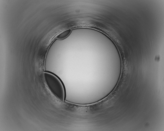 X0000113150889200910021500