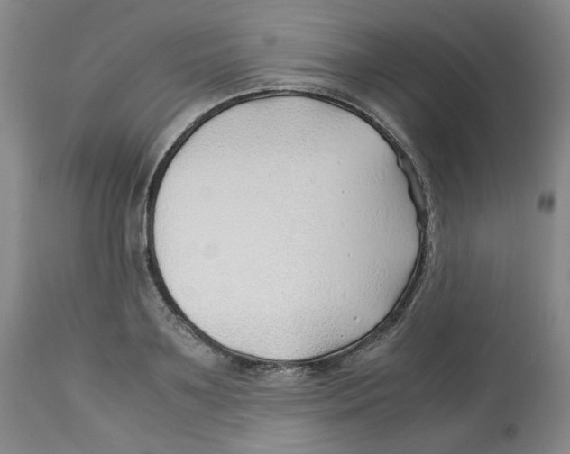 X0000113150891200910021500