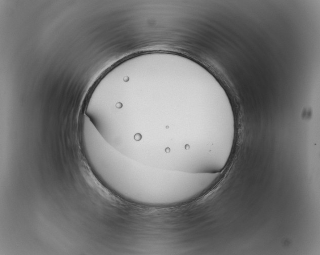 X0000113150892200910021500