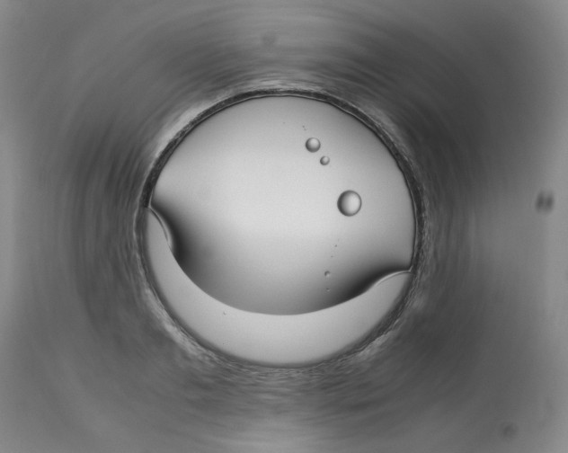 X0000113150893200910021500