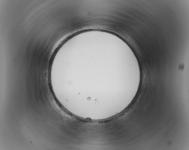 X0000113150896200910021500