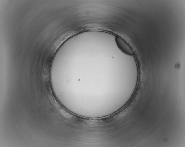 X0000113150897200910021500