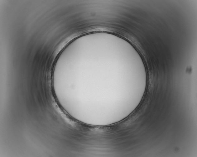 X0000113150898200910021500