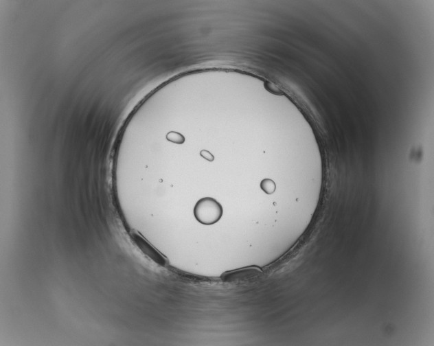 X0000113150900200910021500