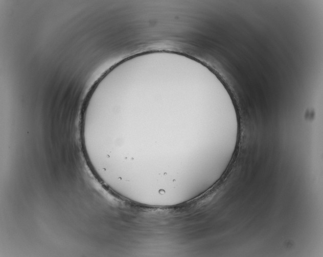 X0000113150902200910021500