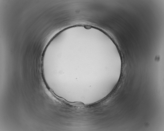 X0000113150903200910021500