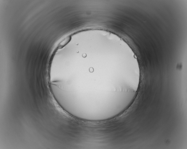 X0000113150904200910021500