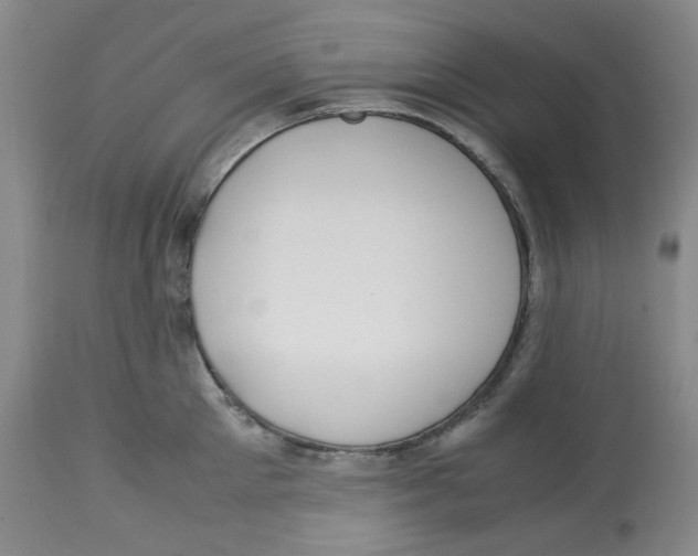 X0000113150905200910021500