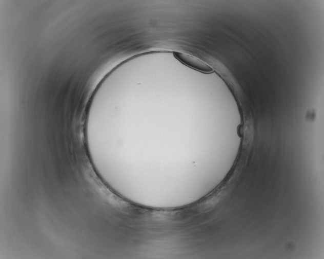 X0000113150908200910021459