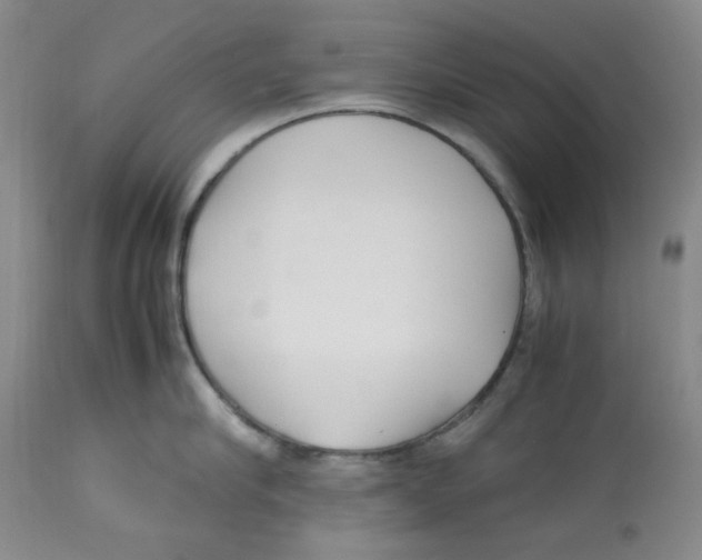 X0000113150910200910021459