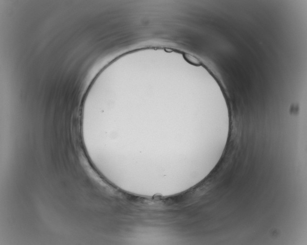 X0000113150911200910021459