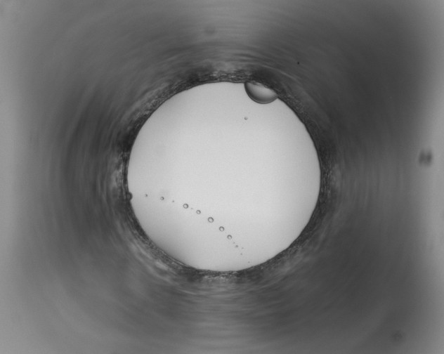 X0000113150914200910021459