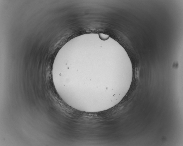 X0000113150915200910021459