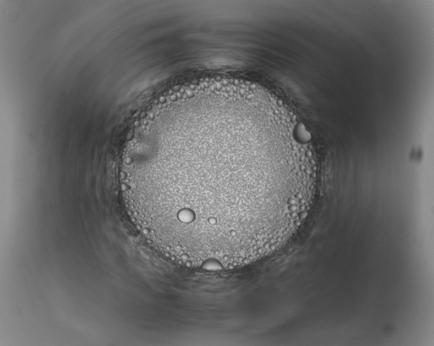 X0000113150917200910021459