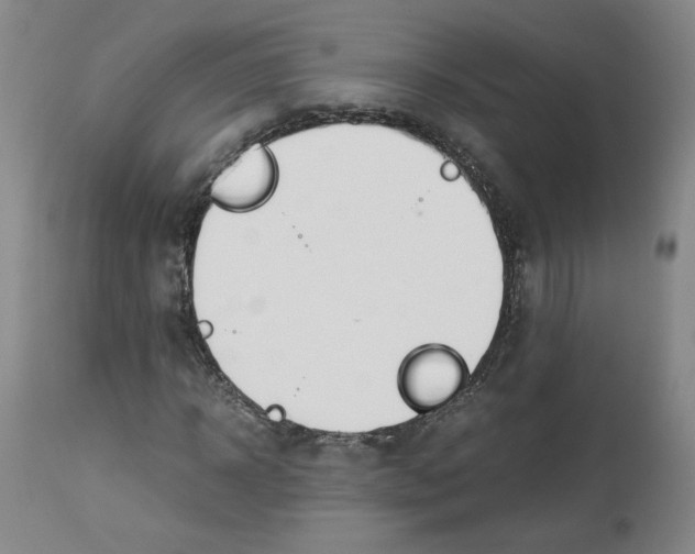 X0000113150918200910021459