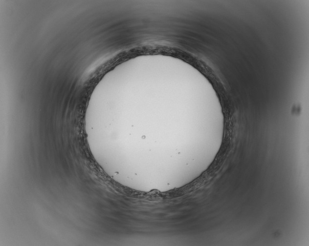 X0000113150919200910021459