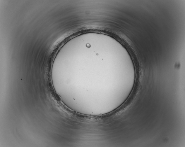 X0000113150922200910021459