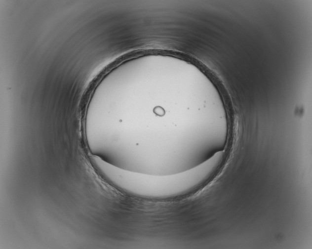 X0000113150925200910021459