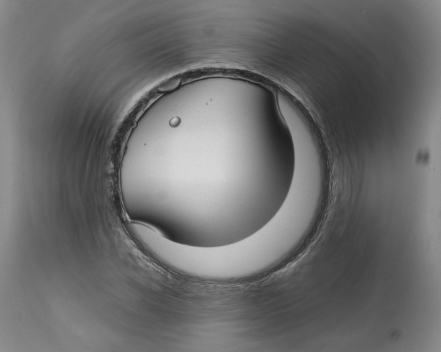 X0000113150926200910021459