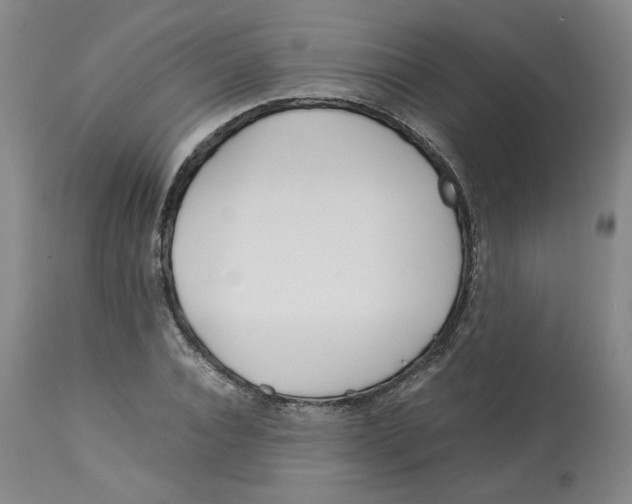 X0000113150928200910021459