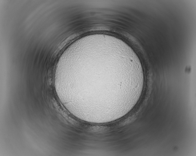 X0000113150929200910021459