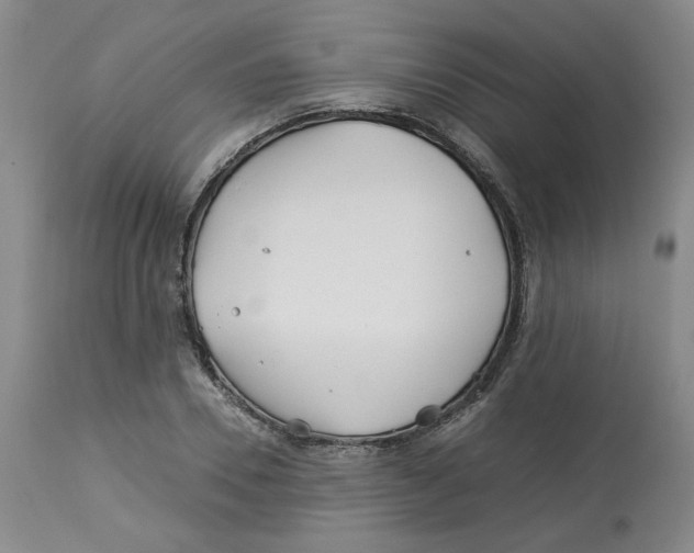 X0000113150930200910021459