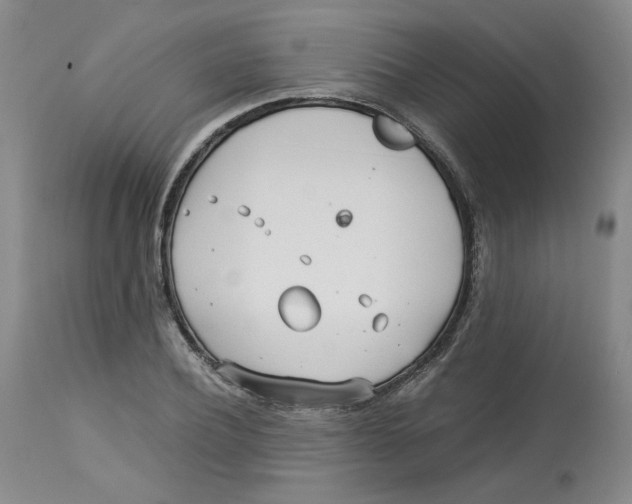 X0000113150932200910021459