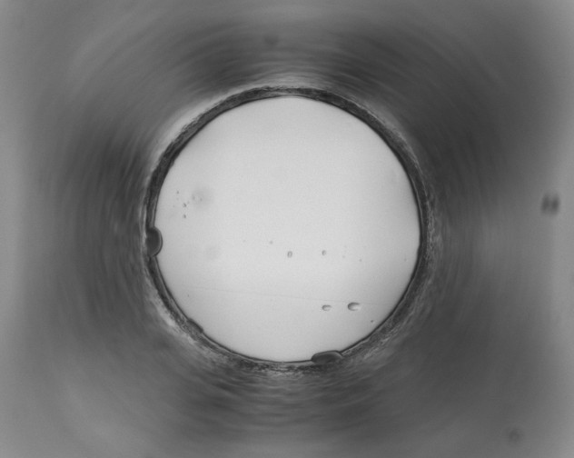 X0000113150935200910021459