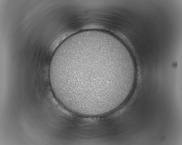 X0000113150937200910021459