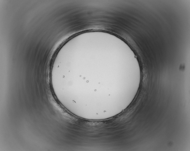 X0000113150939200910021459