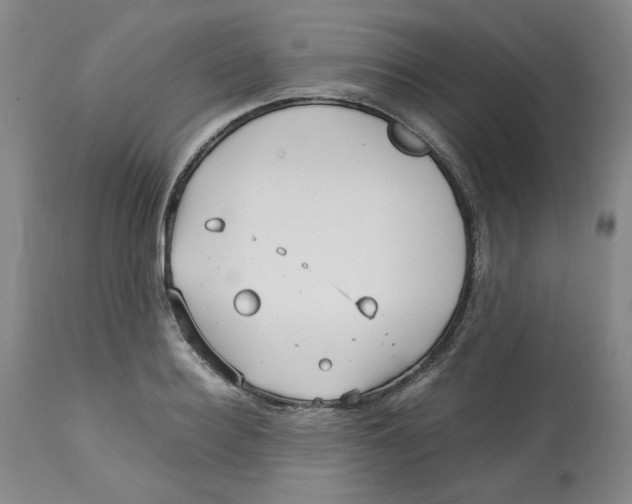 X0000113150940200910021459