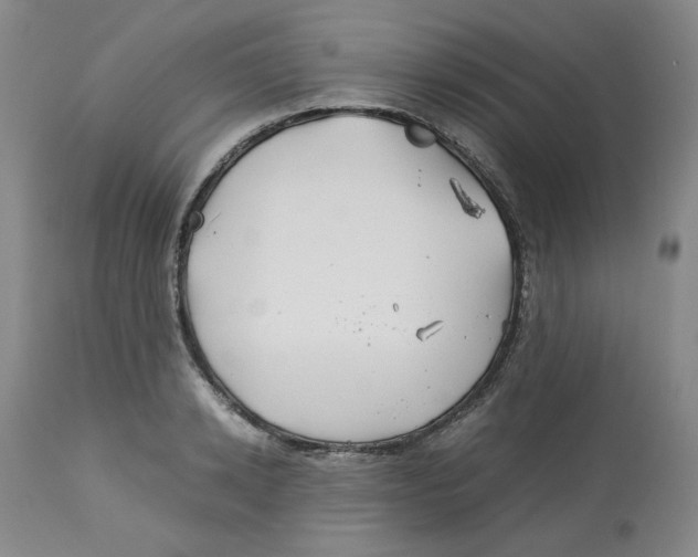 X0000113150942200910021459