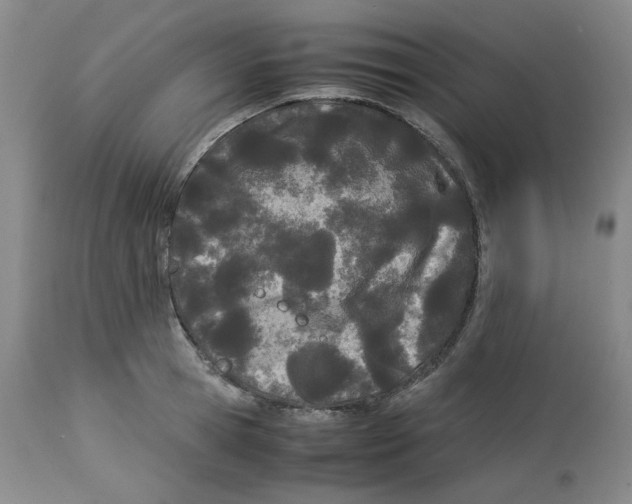 X0000113150945200910021459