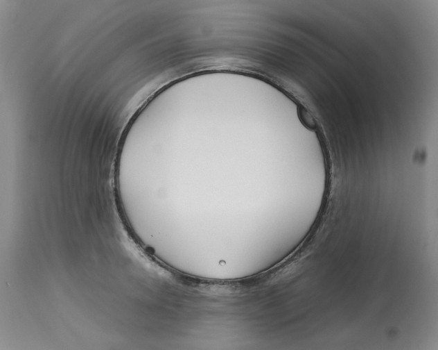 X0000113150946200910021459