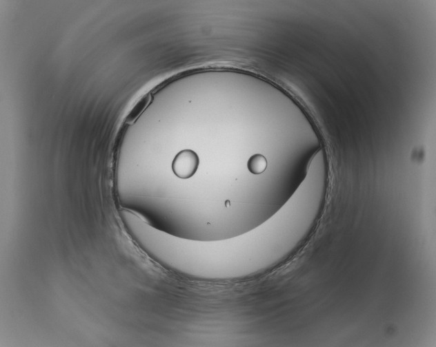 X0000113150948200910021459