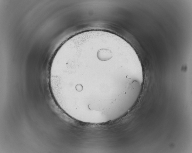 X0000113150950200910021459