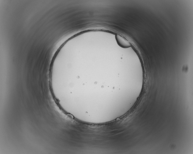 X0000113150951200910021459