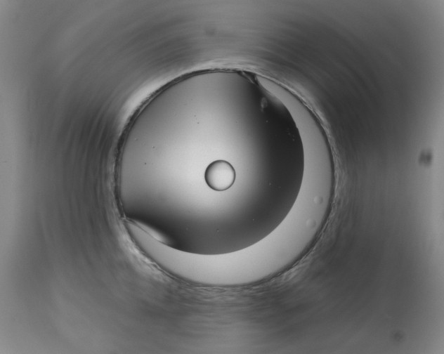 X0000113150952200910021459