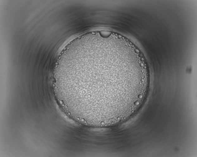 X0000113150953200910021459