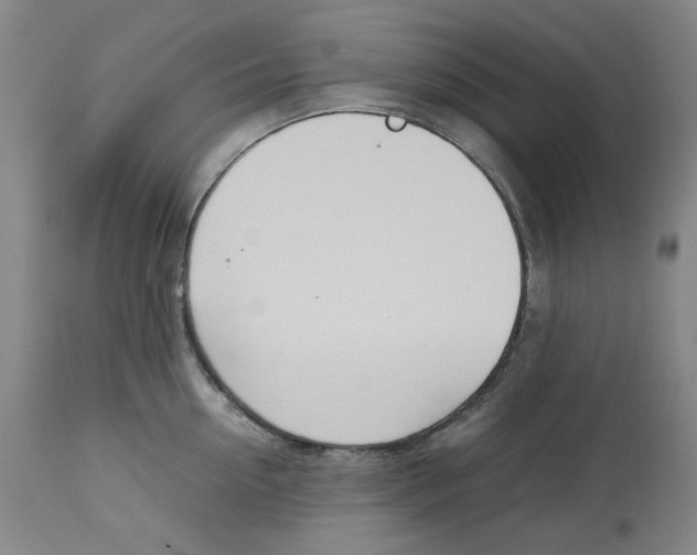 X0000113150954200910021459